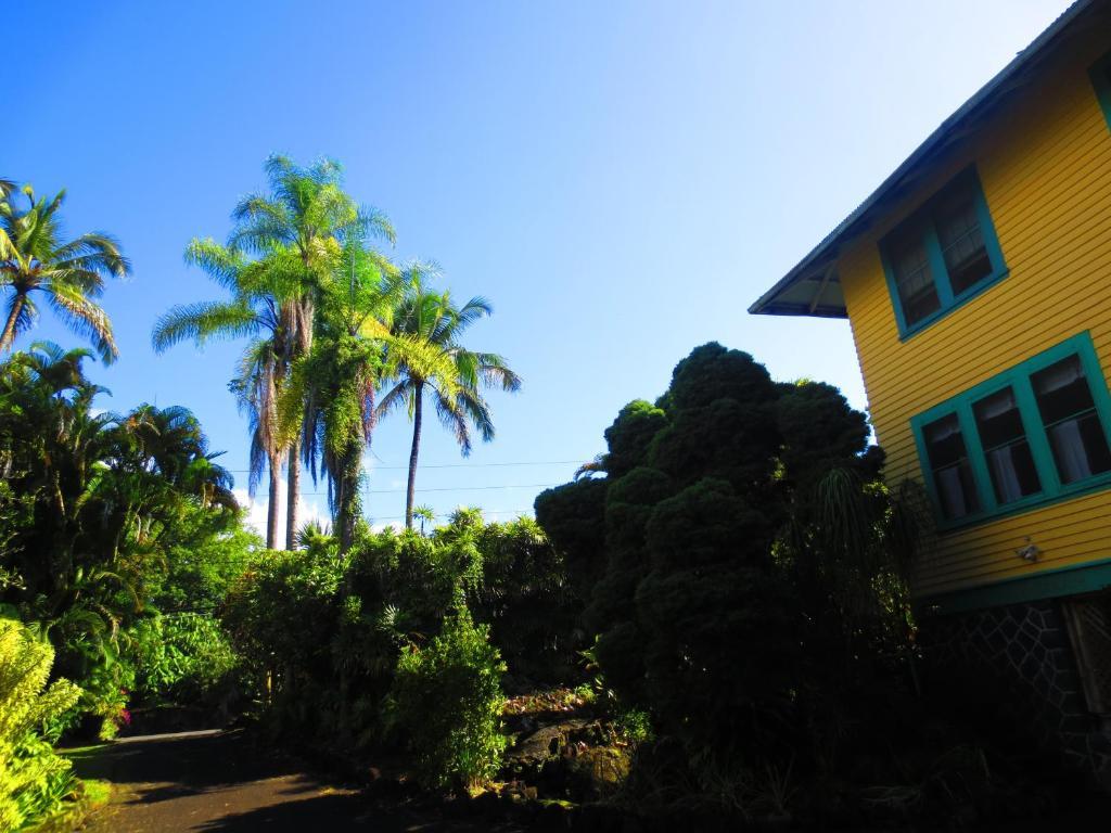 Maureen'S Bed And Breakfast Hilo Kültér fotó