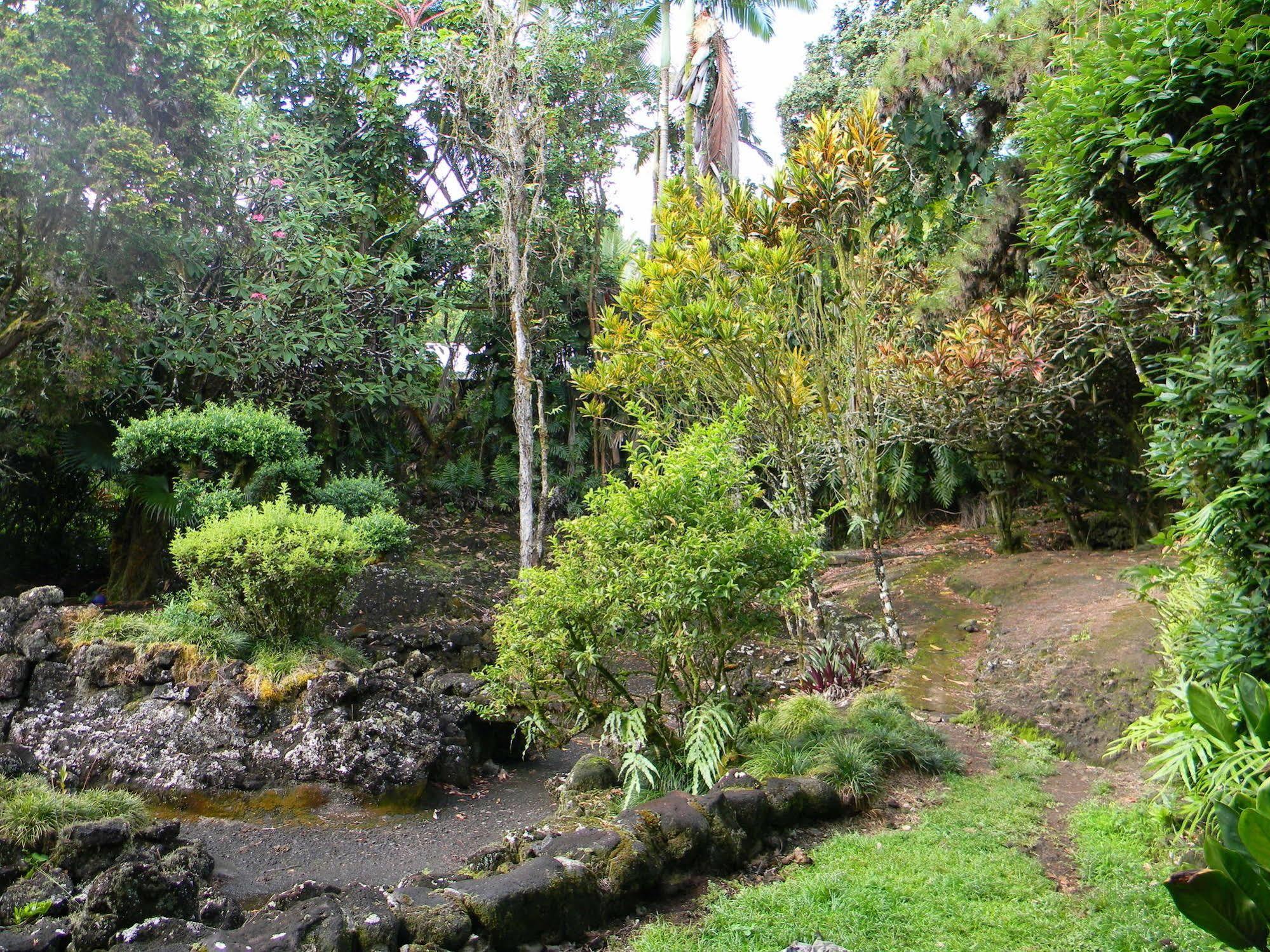 Maureen'S Bed And Breakfast Hilo Kültér fotó